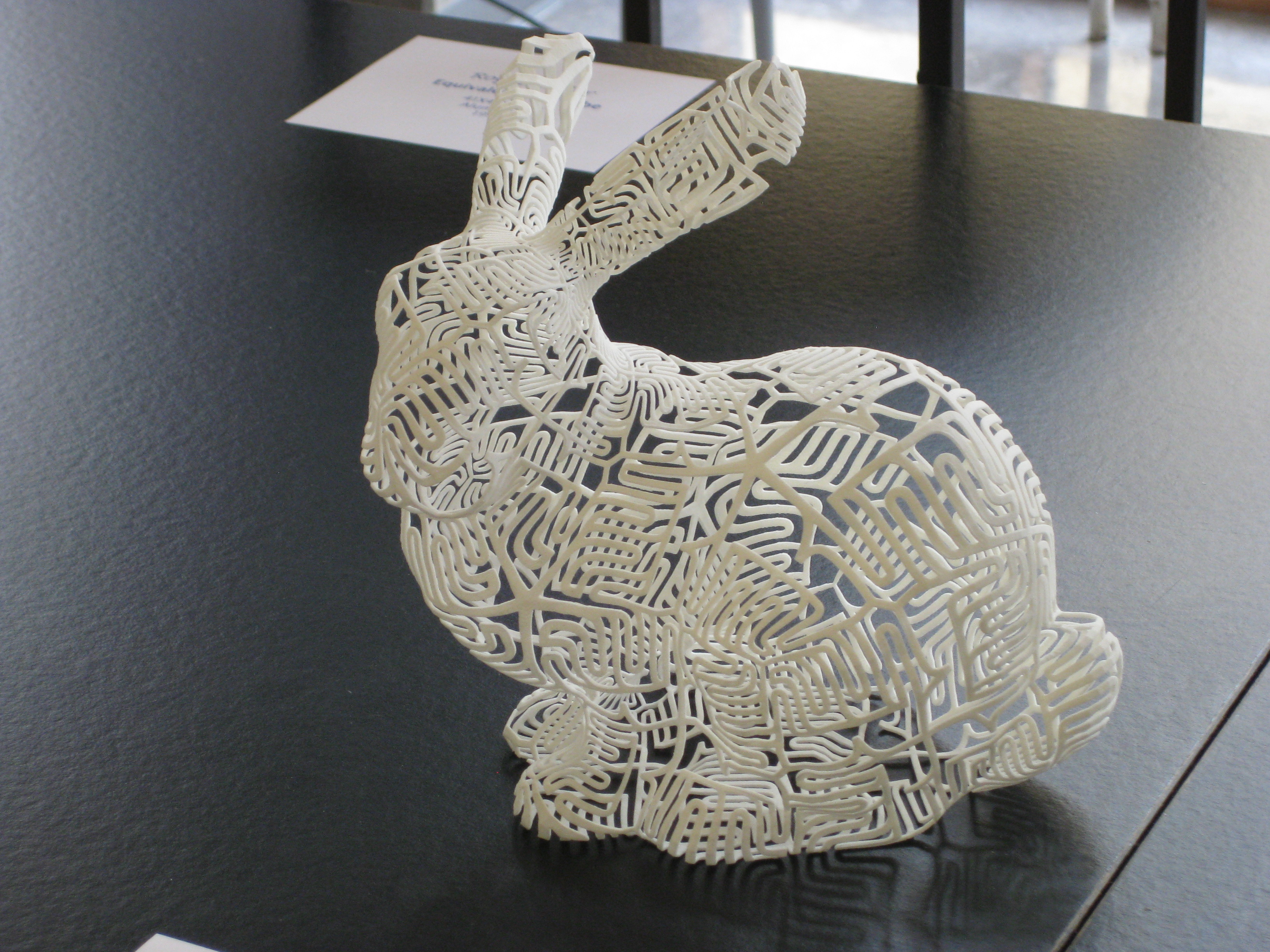 "Bunny, Bunny" by
                Segerman & Kaplan