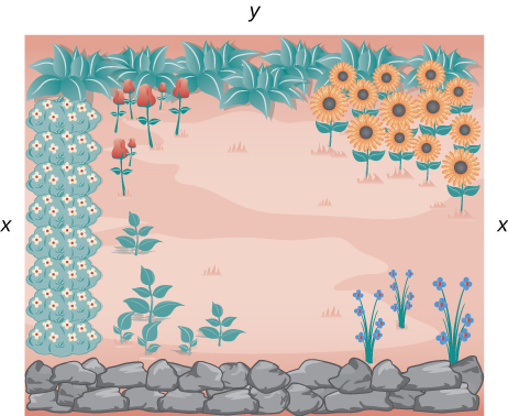 "A drawing of a garden has x and y written on the vertical and horizontal sides, respectively. There is a rock wall running along the entire bottom horizontal length of the drawing."